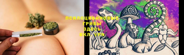 гидропоника Пролетарск
