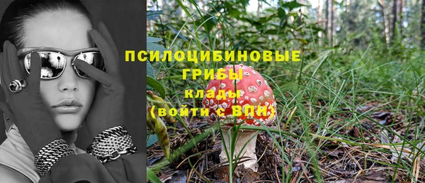 дурь Протвино