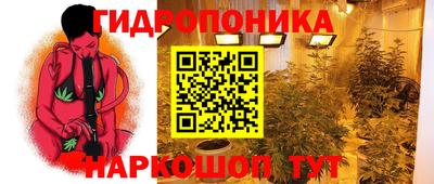 МДПВ Донецк