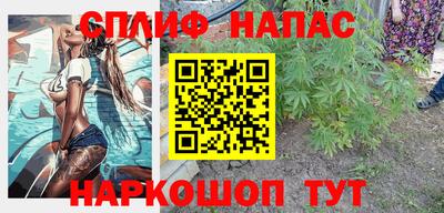 тгк Дубна