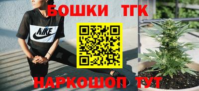 крисы Аргун